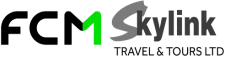 SkyLink